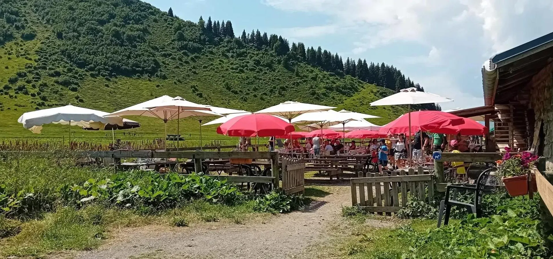 Lägenhet Charmant Studio A Les Carroz Vue Montagne 27 M² Casier A Skis Frankrike